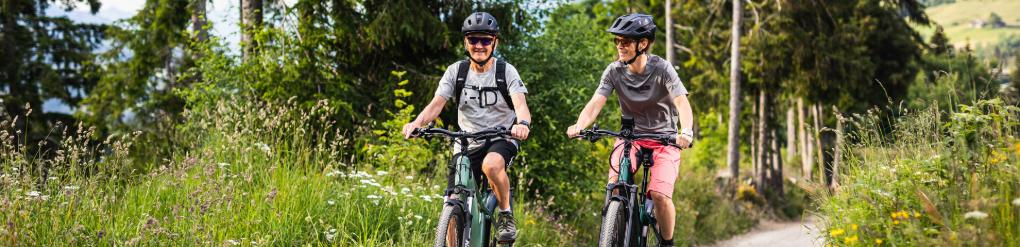 Vélo trekking