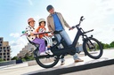 Urban Arrow Breeze