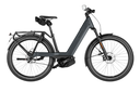 Vélo Électrique Riese & Müller Nevo 5 Pinion HS